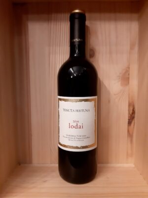 CABERNET SAUVIGNON 2016 LODAI TENUTA FERTUNA